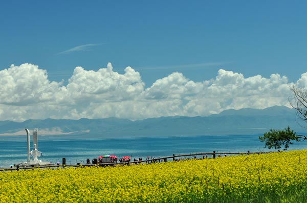 成都—爐霍——那曲—納木錯—拉薩11日游路線